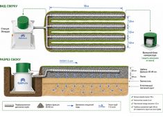 Хара 8 Лонг